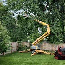 Best Hedge Trimming  in Sanger, TX