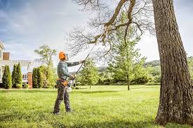 Best Arborist Consultation Services  in Sanger, TX