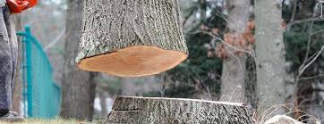 Best Firewood Processing and Delivery  in Sanger, TX